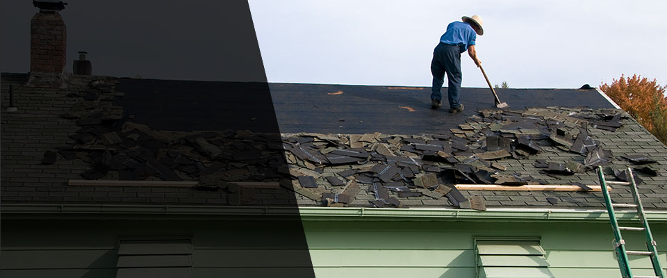 Palmetto Roofing Contractors