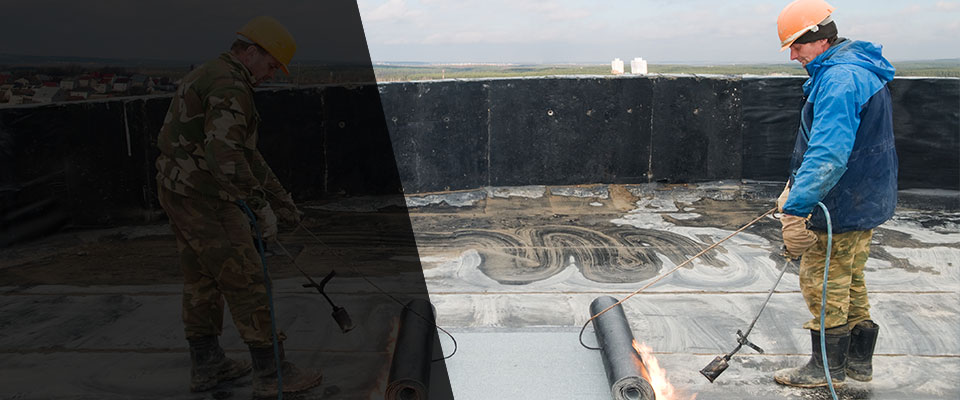 Palmetto Roofing Contractors